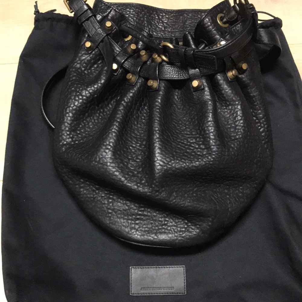 Alexander wang bag